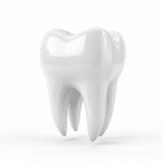 Tooth Transplantation